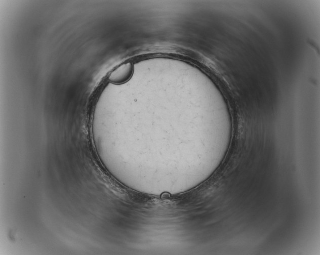 X0000102871312200809081156