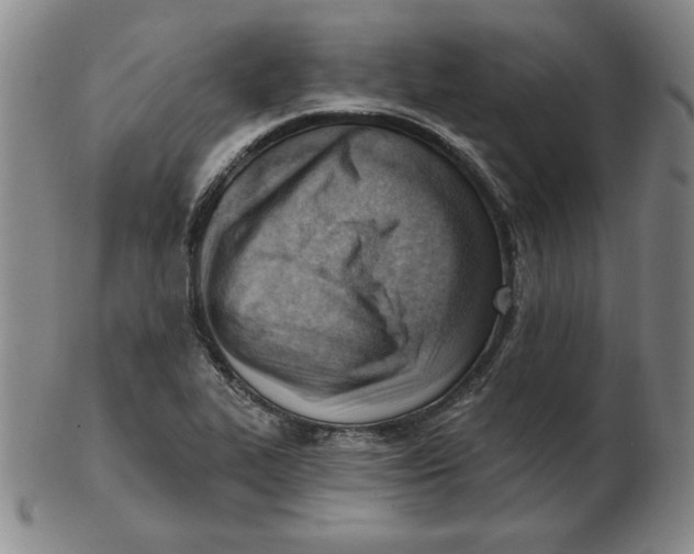 X0000102871319200809081157