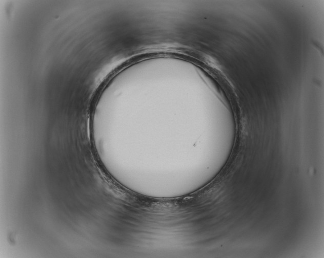 X0000102871320200809081157