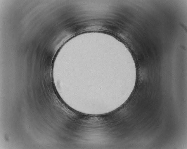 X0000102871322200809081157