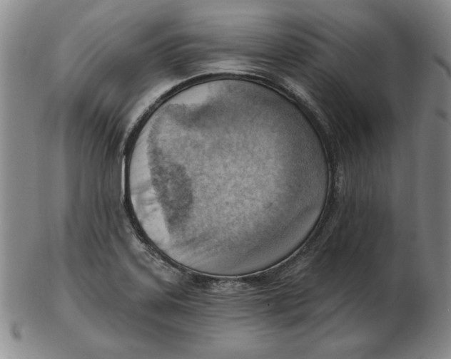 X0000102871323200809081157