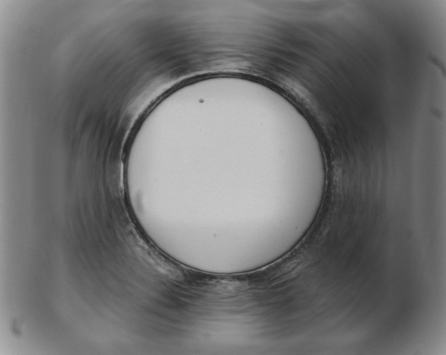 X0000102871324200809081157