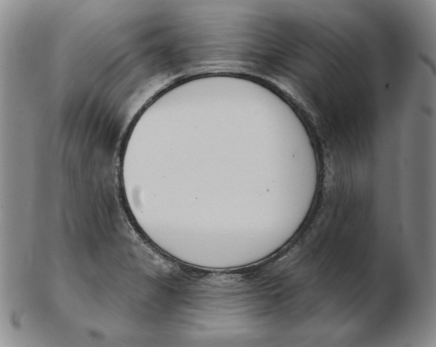 X0000102871325200809081157