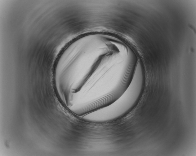 X0000102871326200809081157