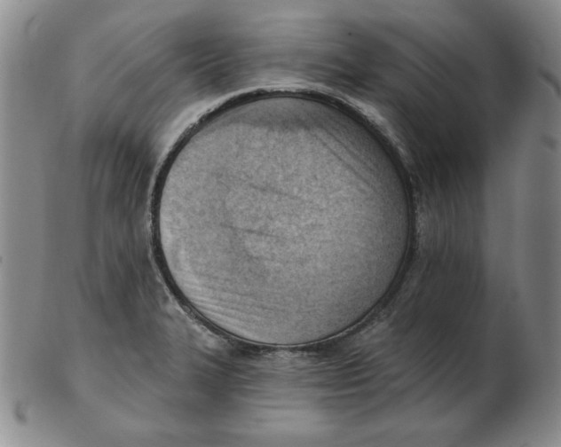 X0000102871327200809081157