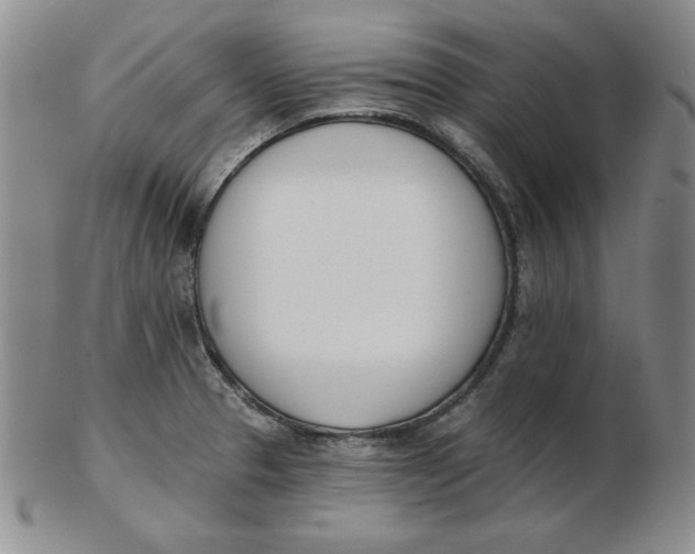 X0000102871329200809081157