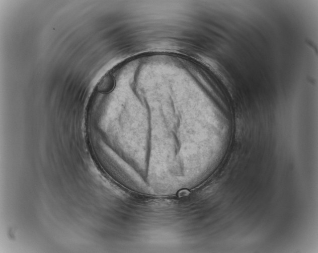 X0000102871331200809081157