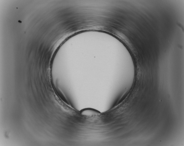 X0000102871332200809081157