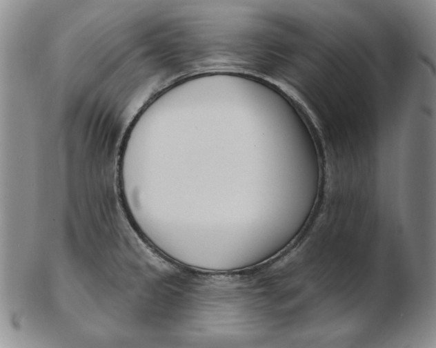 X0000102871333200809081157