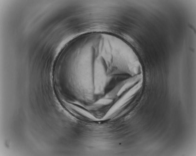 X0000102871334200809081157