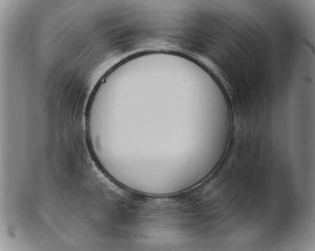 X0000102871335200809081157