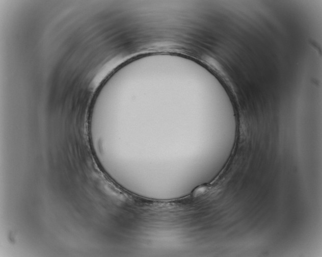 X0000102871336200809081157