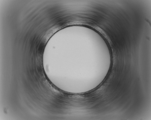 X0000102871337200809081157