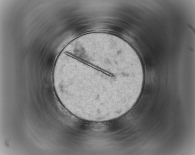 X0000102871338200809081157