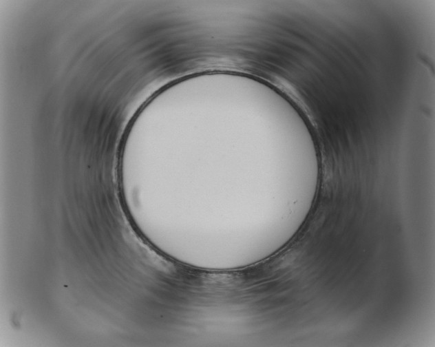 X0000102871339200809081157