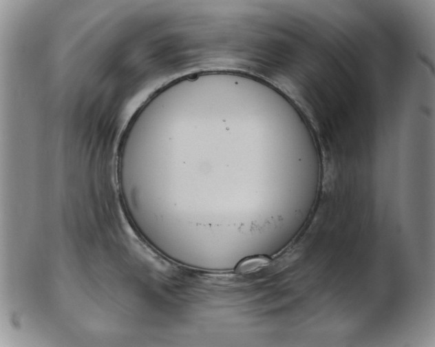 X0000102871342200809081157