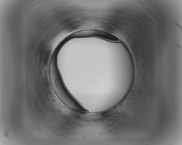 X0000102871344200809081157