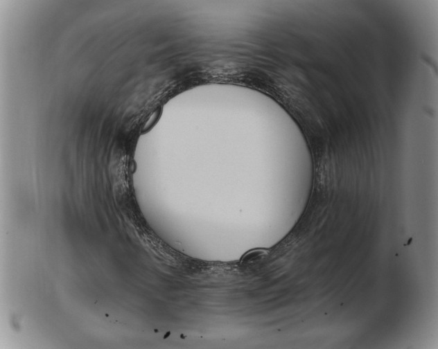 X0000102871346200809081156