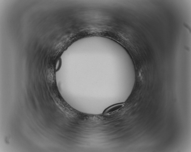 X0000102871348200809081156