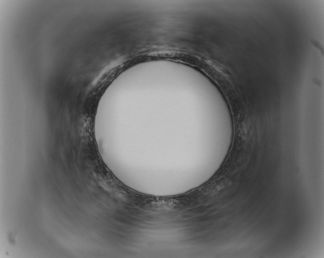 X0000102871351200809081156