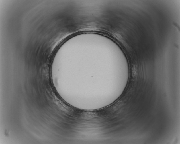 X0000102871356200809081156