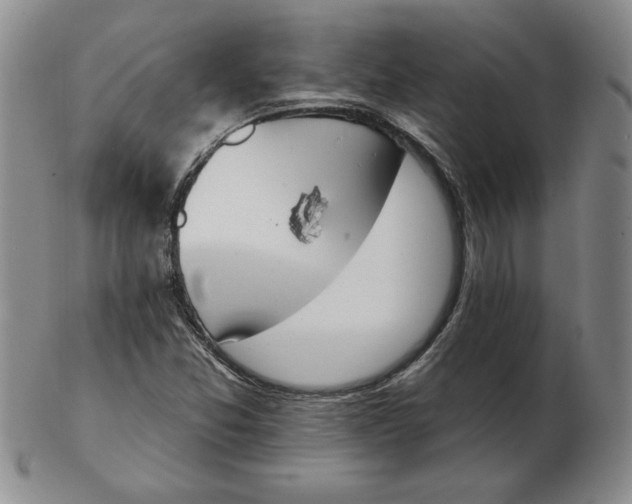 X0000102871357200809081156