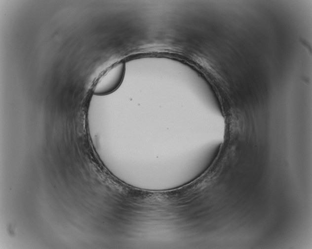 X0000102871358200809081156