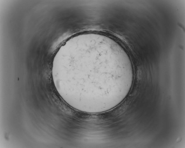 X0000102871359200809081156