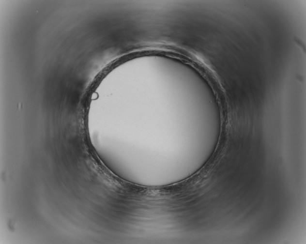 X0000102871360200809081156