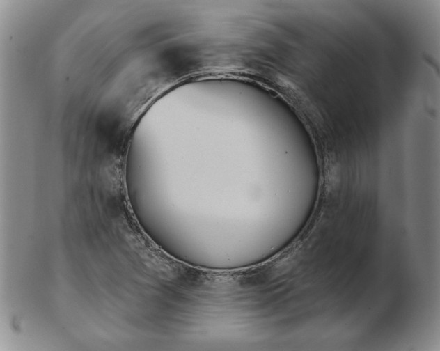 X0000102871361200809081156