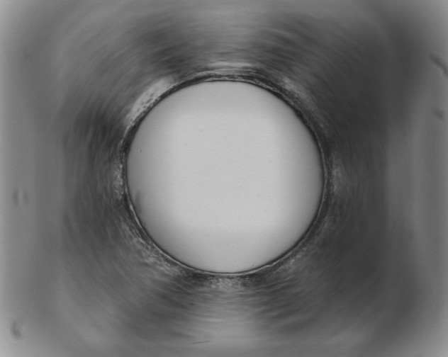 X0000102871362200809081156