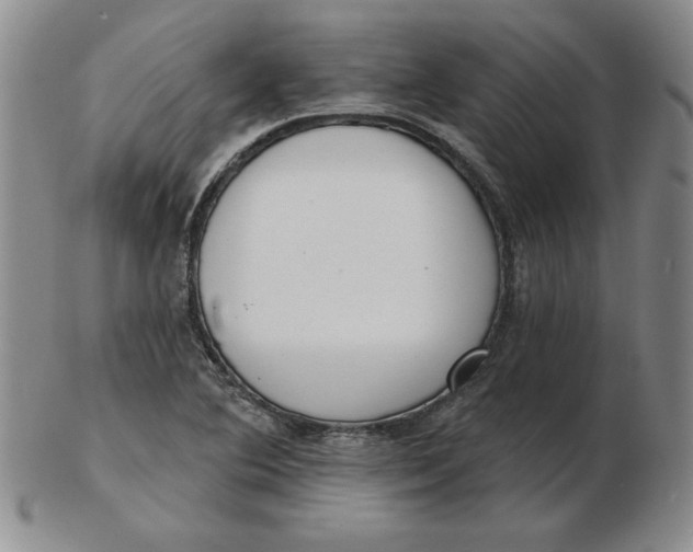 X0000102871364200809081156