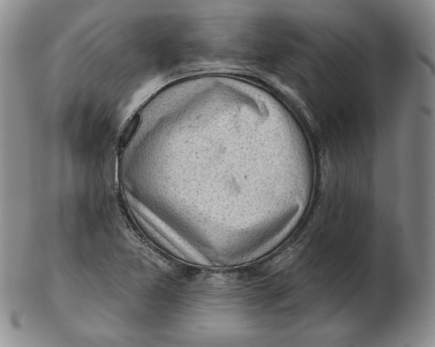 X0000102871365200809081156