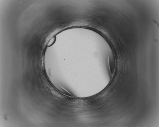 X0000102871366200809081156