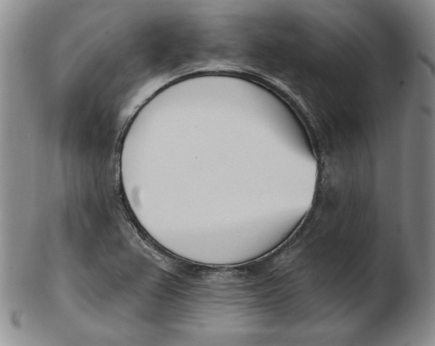 X0000102871367200809081156