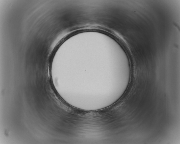 X0000102871368200809081156