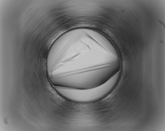 X0000102871369200809081156