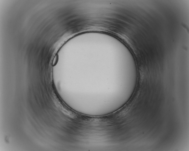 X0000102871371200809081156