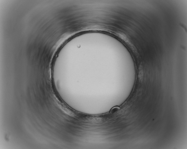 X0000102871372200809081156