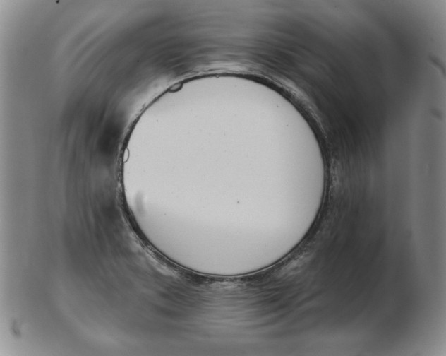 X0000102871373200809081156