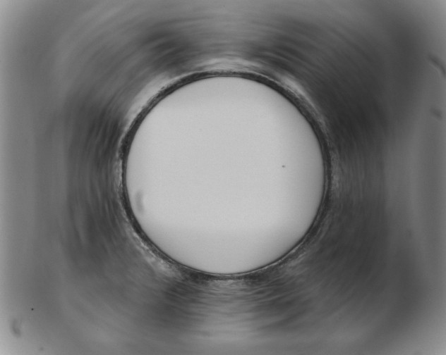 X0000102871376200809081156