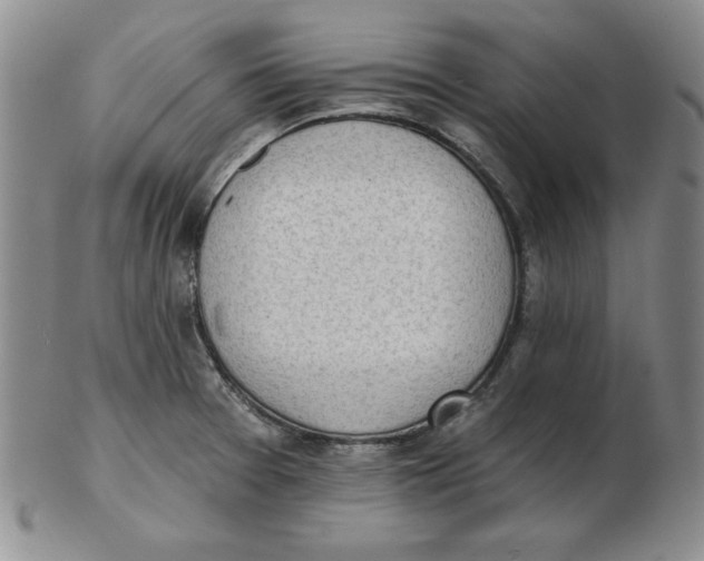 X0000102871377200809081156