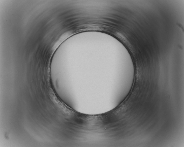 X0000102871378200809081156