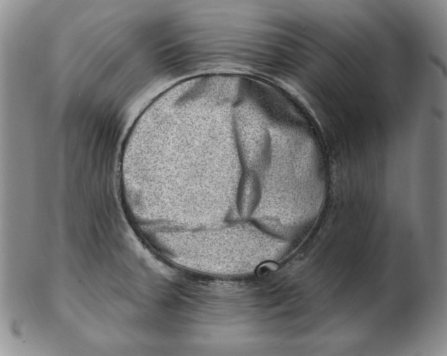 X0000102871379200809081156