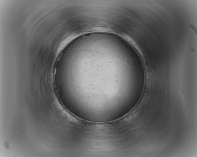 X0000102871381200809081156