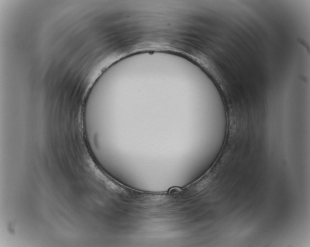 X0000102871382200809081155