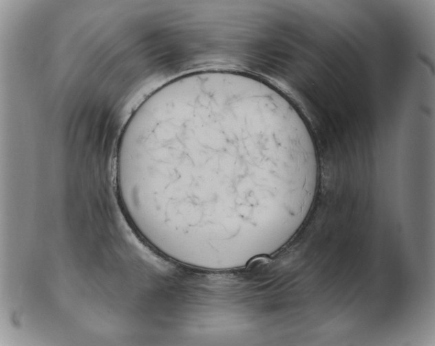 X0000102871383200809081155