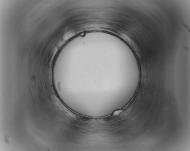 X0000102871384200809081155