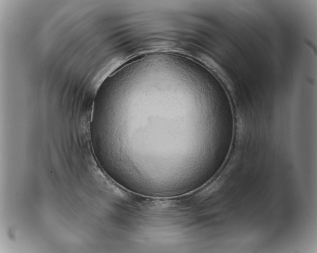 X0000102871385200809081155