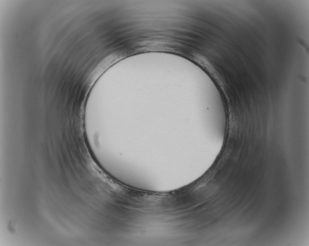 X0000102871386200809081155